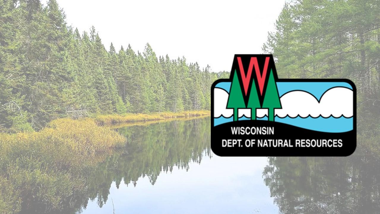 DNR may issue permit for incidental taking of a rare lizard