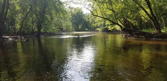 Water Flow Improvement Project At Sam Gordy’s Slough