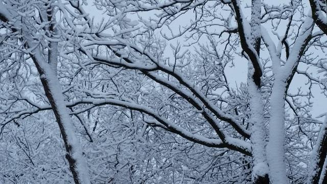 Closing and Delays for 1/22/26