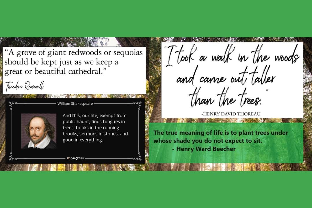 Earth Day Tree Giveaway - Princeton Public Library