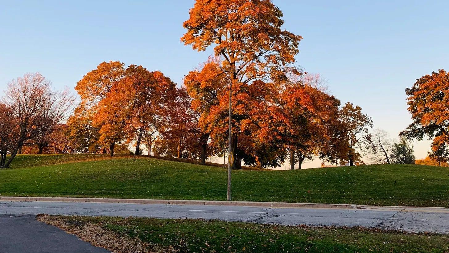 It’s time for our annual Thanksgiving Week Sale!