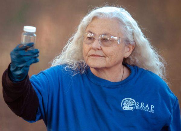 Opinion | Michigan is paying industrial livestock operations to keep polluting our air, water